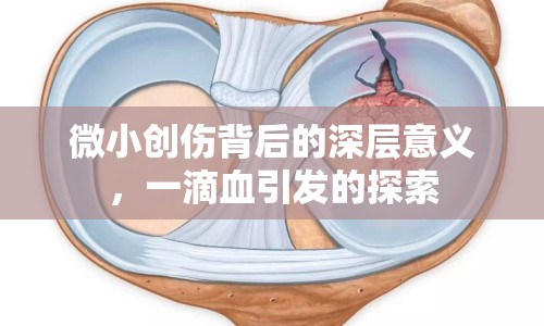 微小創(chuàng)傷背后的深層意義，一滴血引發(fā)的探索
