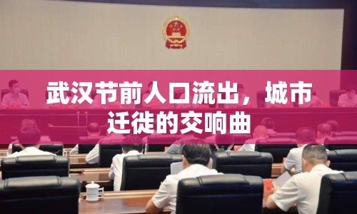 武漢節(jié)前人口流出，城市遷徙的交響曲