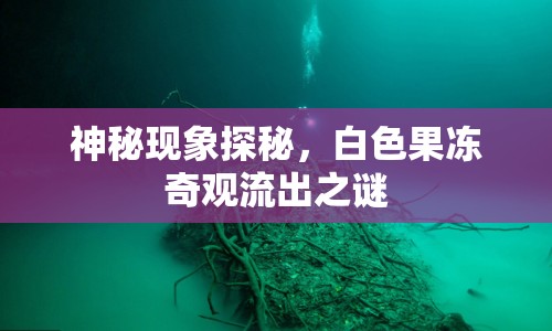 神秘現(xiàn)象探秘，白色果凍奇觀流出之謎