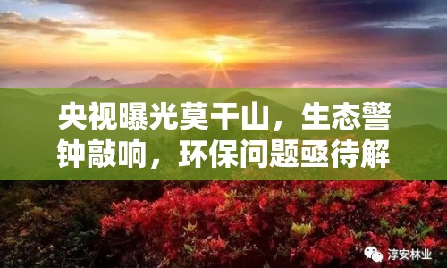 央視曝光莫干山，生態(tài)警鐘敲響，環(huán)保問題亟待解決