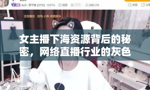 女主播下海資源背后的秘密，網(wǎng)絡(luò)直播行業(yè)的灰色地帶