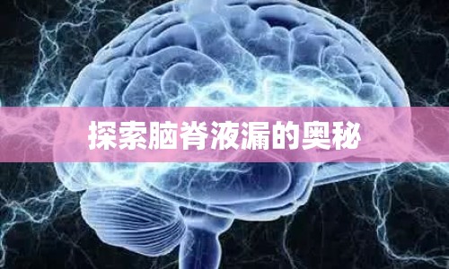探索腦脊液漏的奧秘