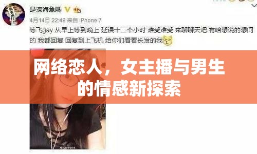 網(wǎng)絡(luò)戀人，女主播與男生的情感新探索