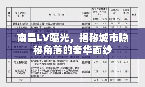 南昌LV曝光，揭秘城市隱秘角落的奢華面紗