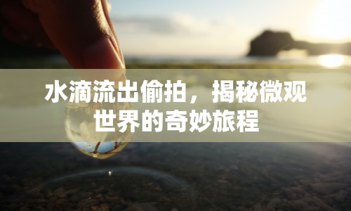 水滴流出偷拍，揭秘微觀世界的奇妙旅程