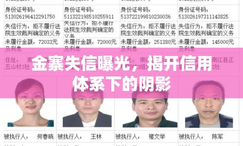 金寨失信曝光，揭開(kāi)信用體系下的陰影
