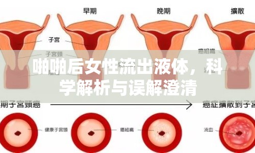 啪啪后女性流出液體，科學(xué)解析與誤解澄清