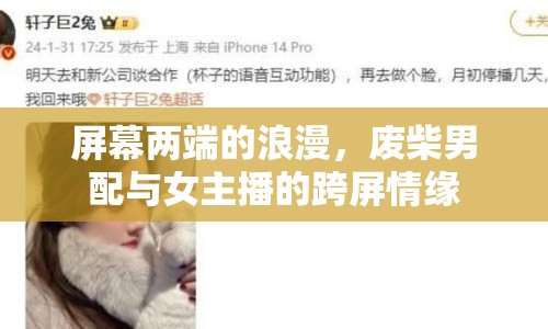 屏幕兩端的浪漫，廢柴男配與女主播的跨屏情緣