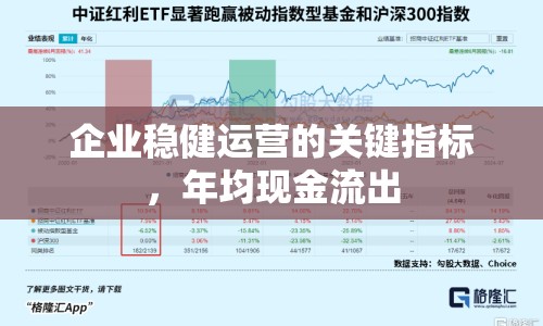 企業(yè)穩(wěn)健運營的關(guān)鍵指標，年均現(xiàn)金流出