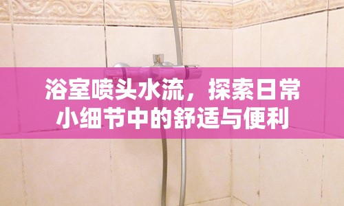 浴室噴頭水流，探索日常小細節(jié)中的舒適與便利