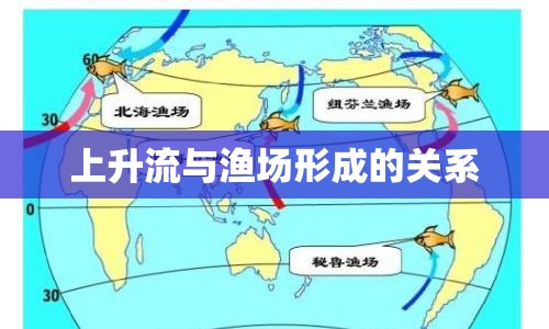 上升流與漁場形成的關(guān)系
