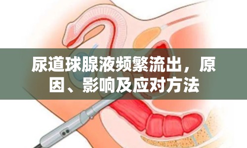 尿道球腺液頻繁流出，原因、影響及應(yīng)對方法