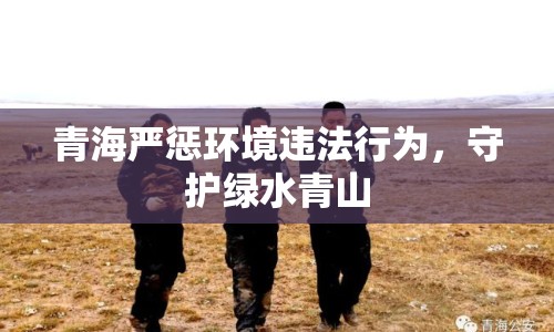 青海嚴懲環(huán)境違法行為，守護綠水青山