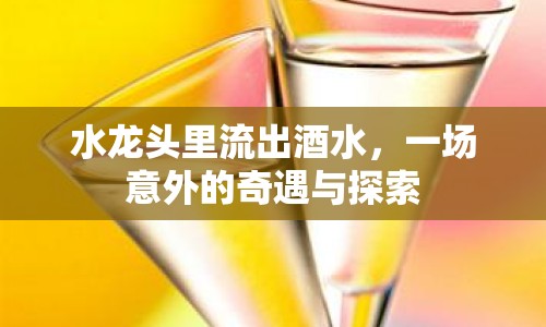 水龍頭里流出酒水，一場意外的奇遇與探索