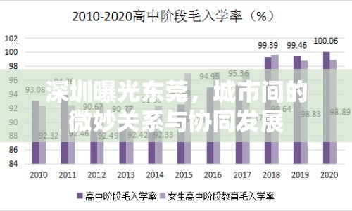 深圳曝光東莞，城市間的微妙關(guān)系與協(xié)同發(fā)展