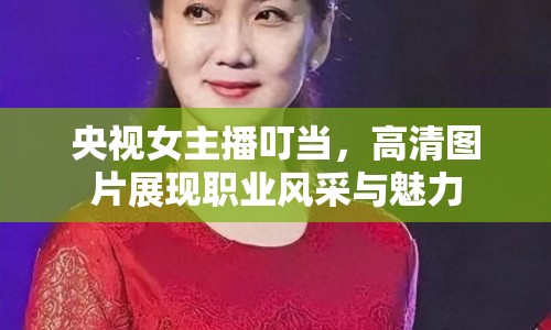 央視女主播叮當(dāng)，高清圖片展現(xiàn)職業(yè)風(fēng)采與魅力