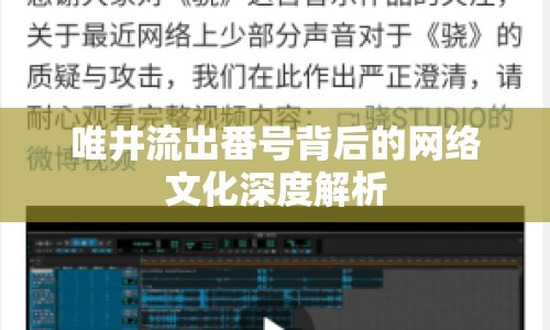 唯井流出番號(hào)背后的網(wǎng)絡(luò)文化深度解析