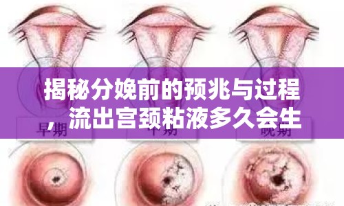 揭秘分娩前的預(yù)兆與過(guò)程，流出宮頸粘液多久會(huì)生？