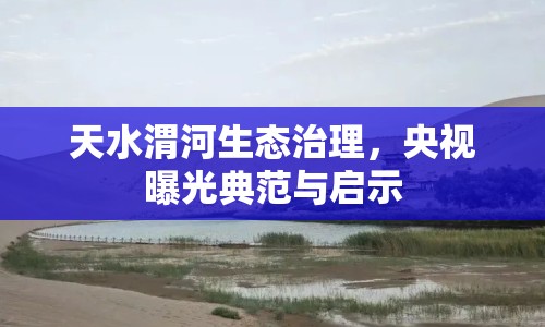 天水渭河生態(tài)治理，央視曝光典范與啟示
