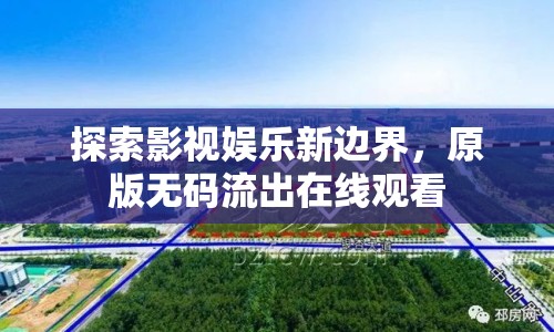 探索影視娛樂新邊界，原版無碼流出在線觀看