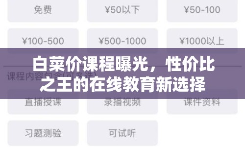 白菜價課程曝光，性價比之王的在線教育新選擇