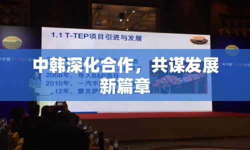 中韓深化合作，共謀發(fā)展新篇章