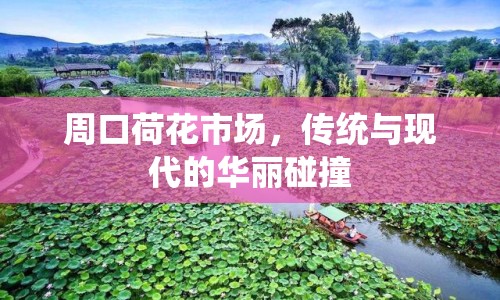 周口荷花市場，傳統(tǒng)與現(xiàn)代的華麗碰撞
