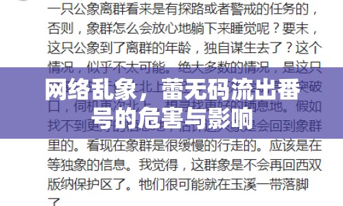 網(wǎng)絡(luò)亂象，蕾無碼流出番號的危害與影響