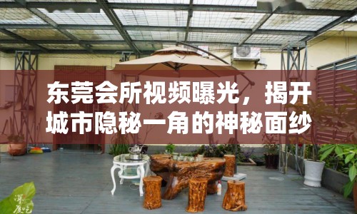 東莞會所視頻曝光，揭開城市隱秘一角的神秘面紗