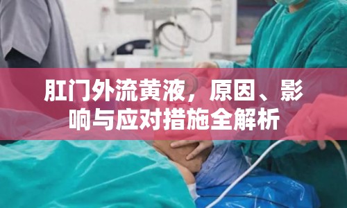 肛門外流黃液，原因、影響與應(yīng)對(duì)措施全解析