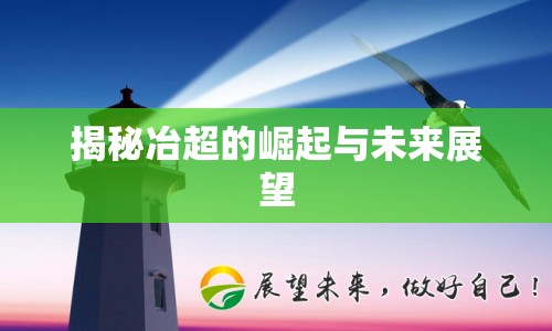 揭秘冶超的崛起與未來展望