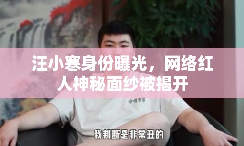 汪小寒身份曝光，網(wǎng)絡(luò)紅人神秘面紗被揭開(kāi)