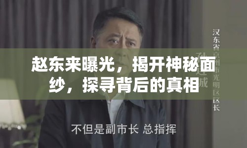 趙東來曝光，揭開神秘面紗，探尋背后的真相