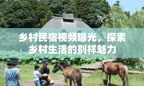 鄉(xiāng)村民宿視頻曝光，探索鄉(xiāng)村生活的別樣魅力