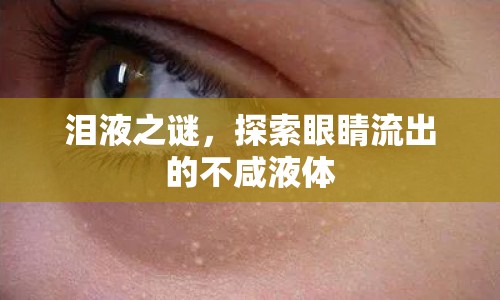 淚液之謎，探索眼睛流出的不咸液體