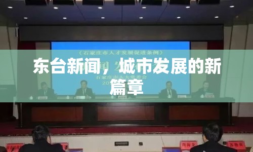東臺新聞，城市發(fā)展的新篇章
