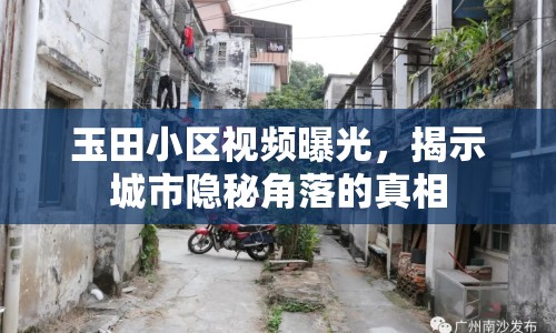 玉田小區(qū)視頻曝光，揭示城市隱秘角落的真相