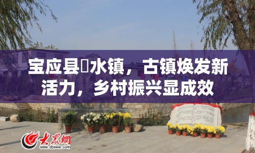 寶應縣氾水鎮(zhèn)，古鎮(zhèn)煥發(fā)新活力，鄉(xiāng)村振興顯成效
