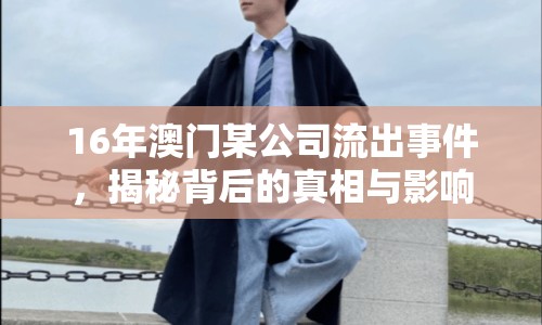 16年澳門某公司流出事件，揭秘背后的真相與影響