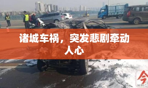 諸城車禍，突發(fā)悲劇牽動(dòng)人心