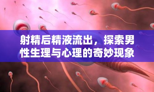 射精后精液流出，探索男性生理與心理的奇妙現(xiàn)象