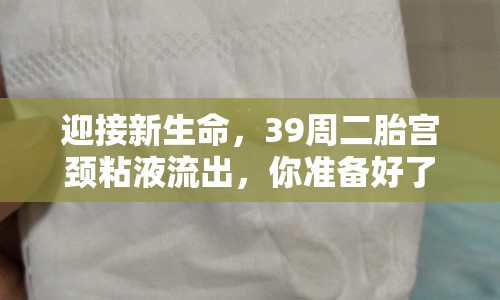 迎接新生命，39周二胎宮頸粘液流出，你準(zhǔn)備好了嗎？