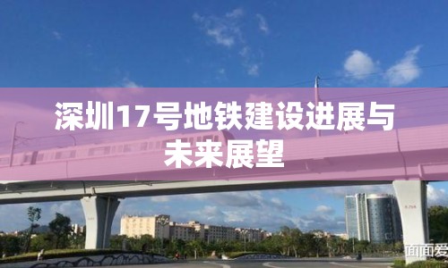 深圳17號地鐵建設(shè)進展與未來展望