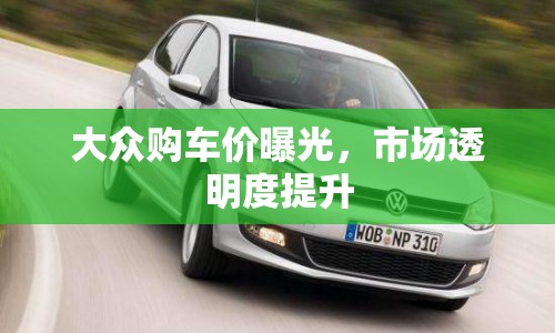 大眾購車價曝光，市場透明度提升