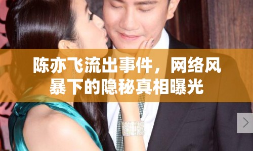 陳亦飛流出事件，網(wǎng)絡風暴下的隱秘真相曝光