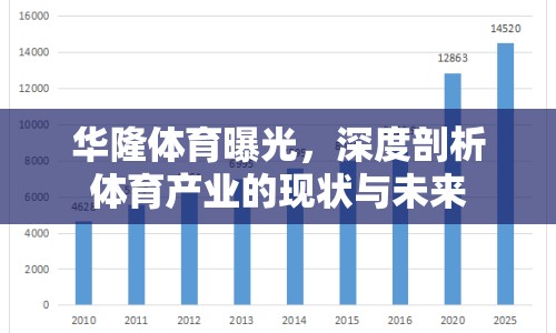 華隆體育曝光，深度剖析體育產(chǎn)業(yè)的現(xiàn)狀與未來