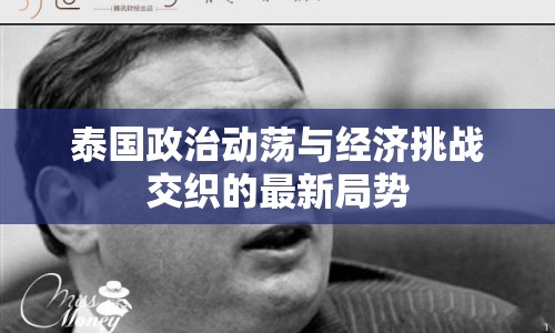 泰國政治動蕩與經(jīng)濟(jì)挑戰(zhàn)交織的最新局勢