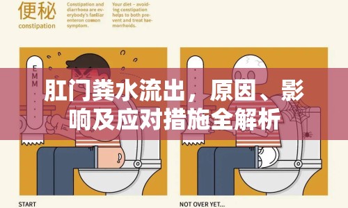 肛門糞水流出，原因、影響及應對措施全解析