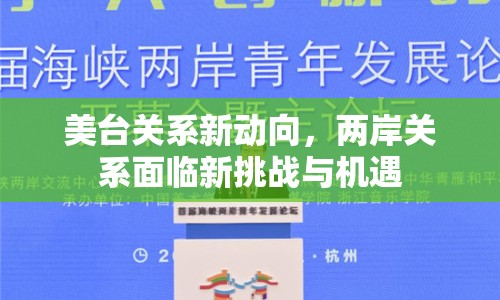 美臺關(guān)系新動向，兩岸關(guān)系面臨新挑戰(zhàn)與機(jī)遇