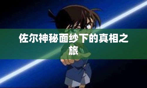 佐爾神秘面紗下的真相之旅